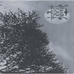 Manon : The Ancient Spirit of Nature